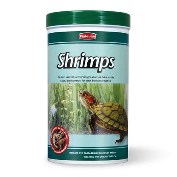 غذای لاک پشت بزرگ آب شیرین پادوان – Padovan Shrimps