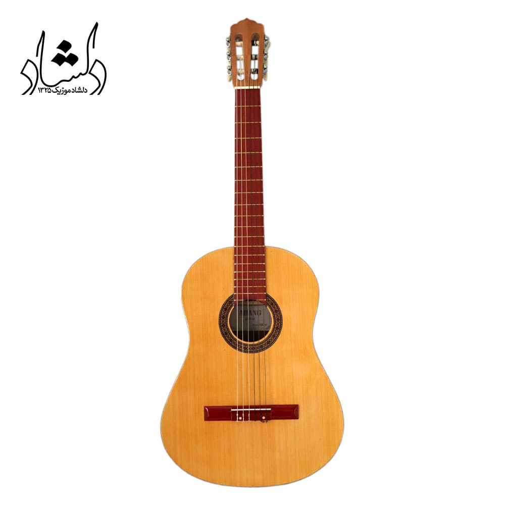 گیتار کلاسیک طرح فندر مدل A20 طرح 2