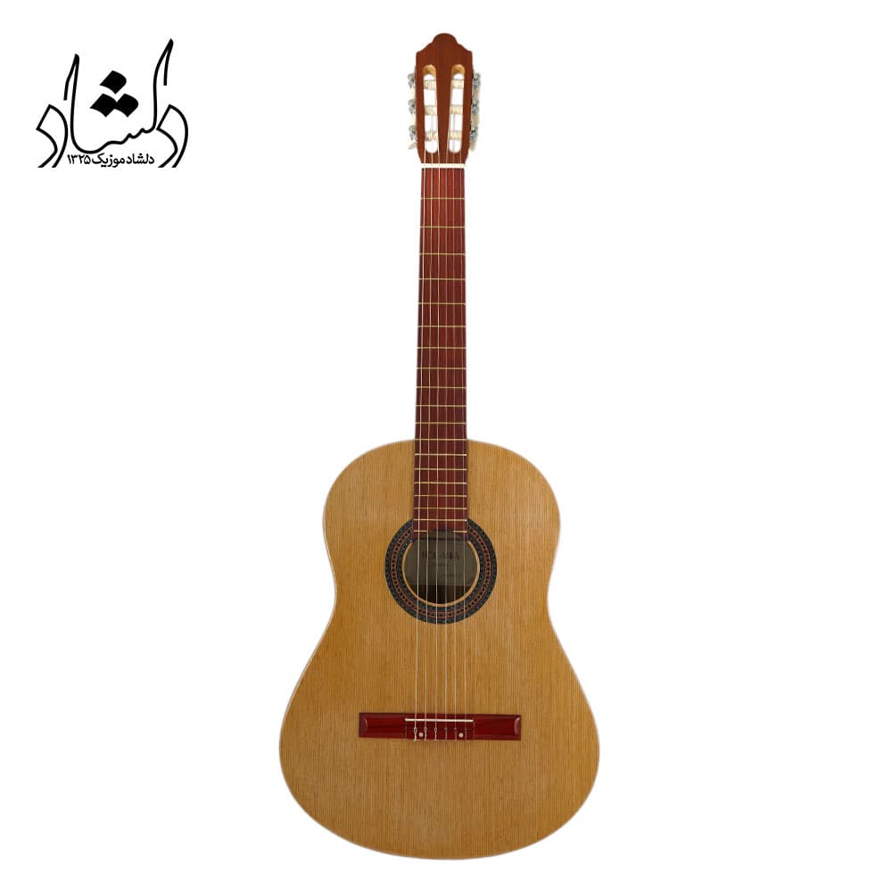 گیتار کلاسیک طرح فندر مدل A30 طرح 1
