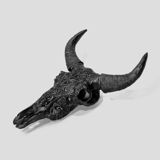 مجسمه اسکلتی دیوارکوب طرح راک مشکی کد Shah602 — تصویر ۱۰