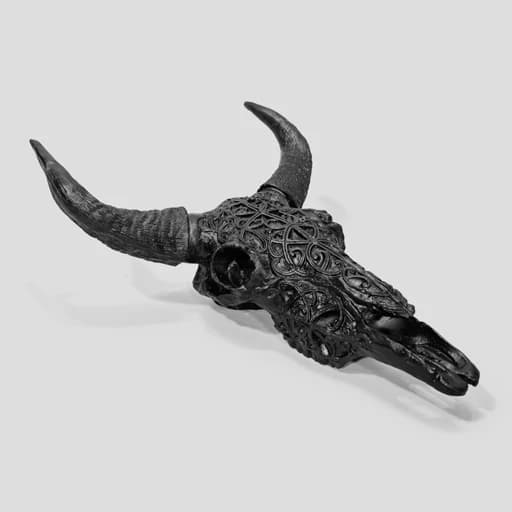 مجسمه اسکلتی دیوارکوب طرح راک مشکی کد Shah602 — تصویر ۵