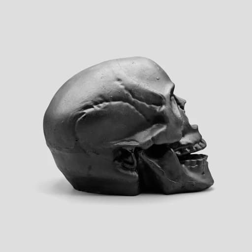 مجسمه جمجمه مدل Happy Skull — تصویر ۹