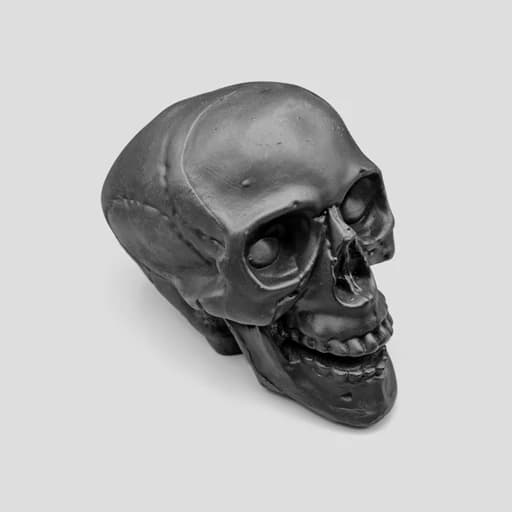 مجسمه جمجمه مدل Happy Skull — تصویر ۶