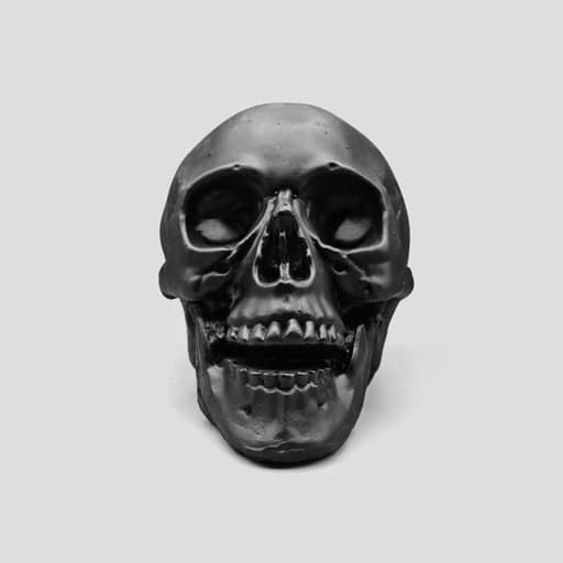 مجسمه جمجمه مدل Happy Skull — تصویر ۴