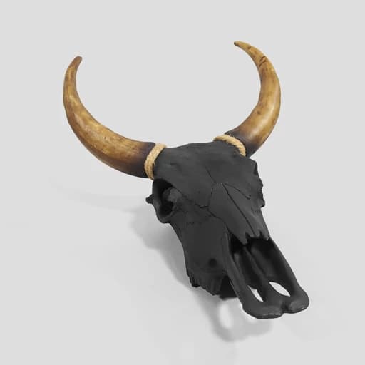 مجسمه دیوارکوب اسکلت گاومیش مدل Knf کد Irz353 — تصویر ۳
