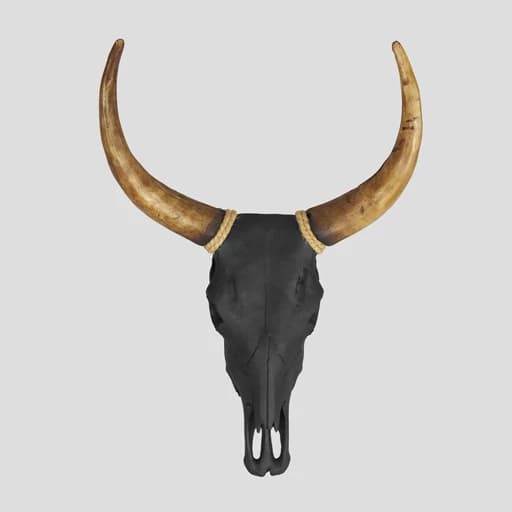 مجسمه دیوارکوب اسکلت گاومیش مدل Knf کد Irz353