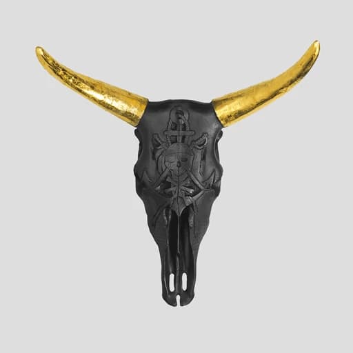 دیوارکوب طرح جمجمه گاومیش (راک) مدل Pirate کد Irz267 رنگ مشکی — تصویر ۸