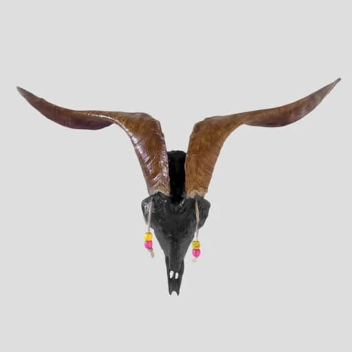 دیوارکوب طرح جمجمه قوچ کد Hzh814 — تصویر ۷