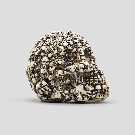 مجسمه جمجمه مدل FullSkulls رنگ استخوانی کد Shah934 — تصویر ۷