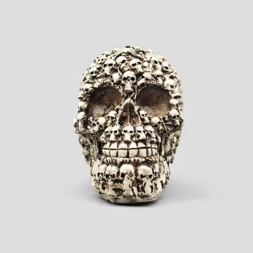 مجسمه جمجمه مدل FullSkulls رنگ استخوانی کد Shah934 — تصویر ۶