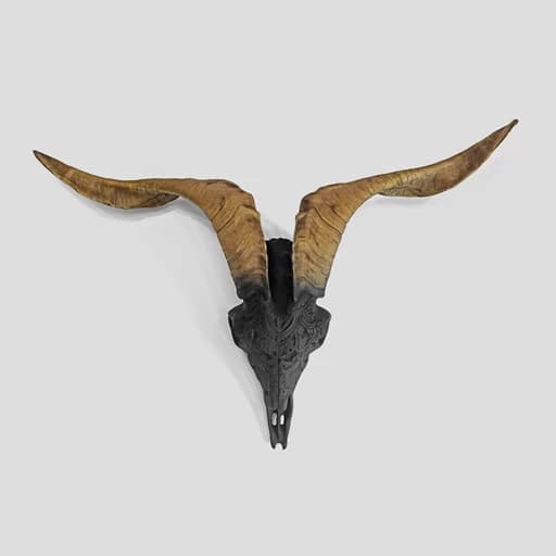 دیوارکوب طرح جمجمه قوچ کد Irz321 رنگ مشکی