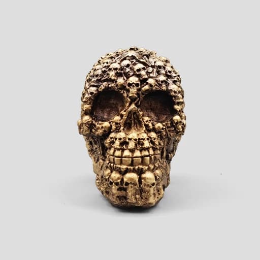 مجسمه جمجمه مدل FullSkulls رنگ برنزی کد Shah934 — تصویر ۸