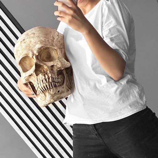 مجسمه جمجمه کامل انسان غول پیکر مدل Huge Skull کد Prv-194 — تصویر ۶