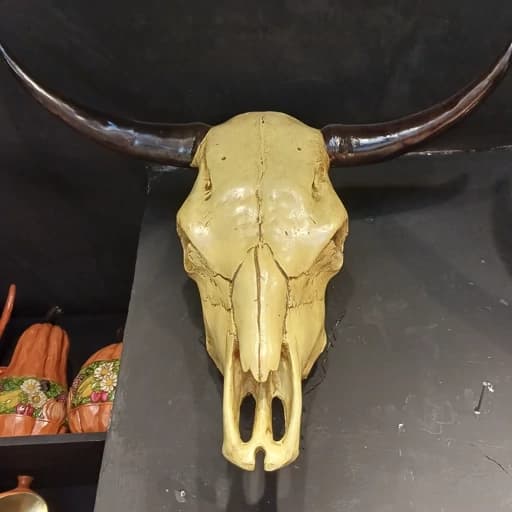 دیوارکوب جمجمه بوفالو سایز بزرگ سنگان(اصل) با طرح های جذاب روی جمجمه — تصویر ۱۰