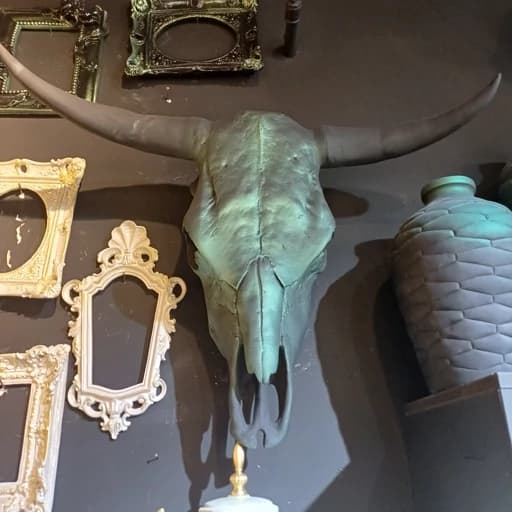 دیوارکوب جمجمه بوفالو سایز بزرگ سنگان(اصل) با طرح های جذاب روی جمجمه — تصویر ۴