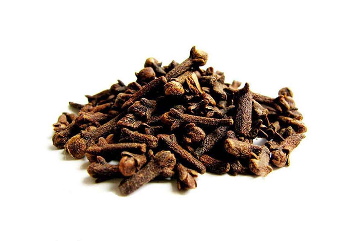 گل میخک احیا سلامت