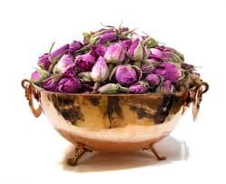 گل سرخ احیا سلامت — تصویر ۵