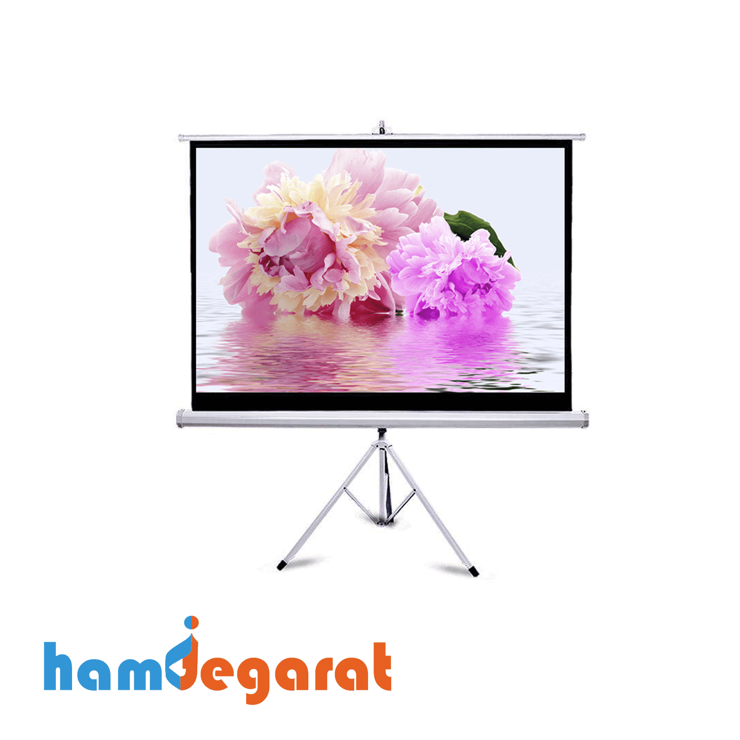 پرده نمایش پایه دار یا ایستاده 200×200