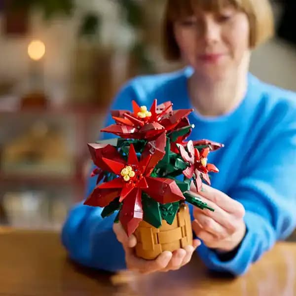 لگو آیکونز مدل 10370 پوینستیا Poinsettia — تصویر ۷