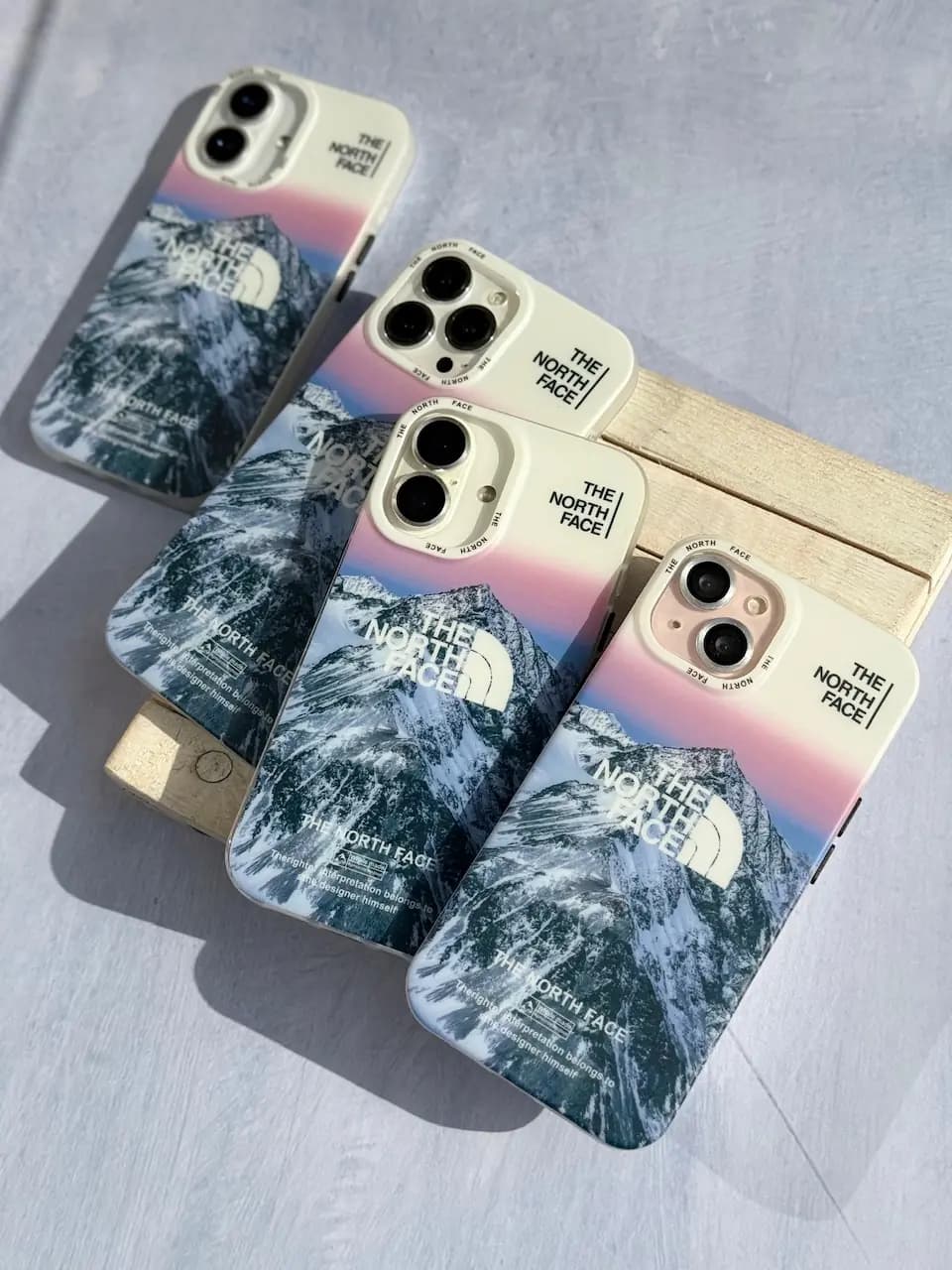 قاب The North Face : Alpine Mood (کدC2184) — تصویر ۵