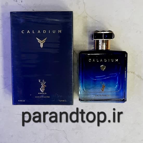 ادکلن پاپیلو کالادیوم PAPILO CALADIUM (حجم 100میل)اورجینال