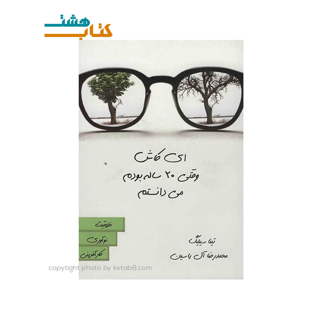 کتاب کاش وقتی بیست ساله بودم نشر هامون — تصویر ۳