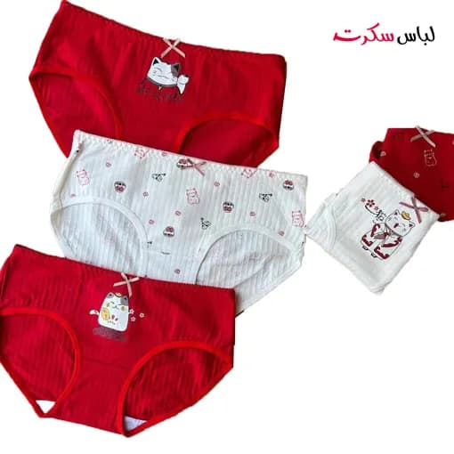 شورت اسلیپ زنانه شیک بسته 3 عددی ls027 — تصویر ۴