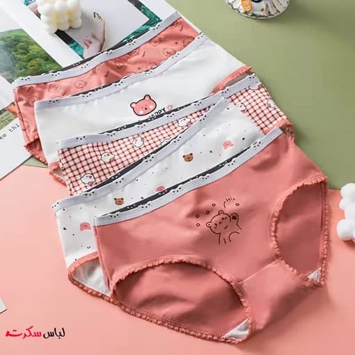 شورت زنانه شیک بسته 3عددی ls0021 — تصویر ۲