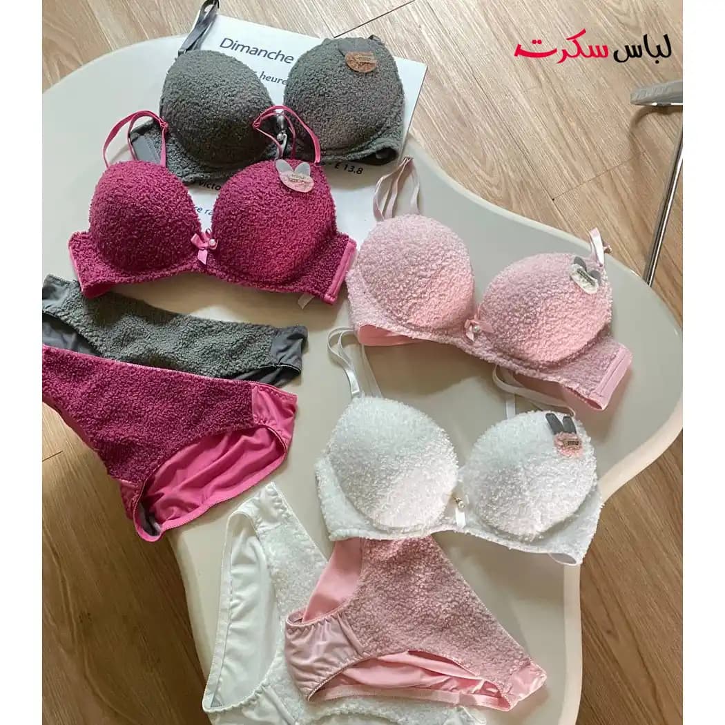 لباس زیر ست شورت و سوتین جکدار فنردار ls0991 — تصویر ۹