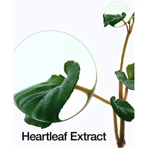 تونر پد پاک کننده و تسکین دهنده آنوا 77% Heartleaf — تصویر ۸