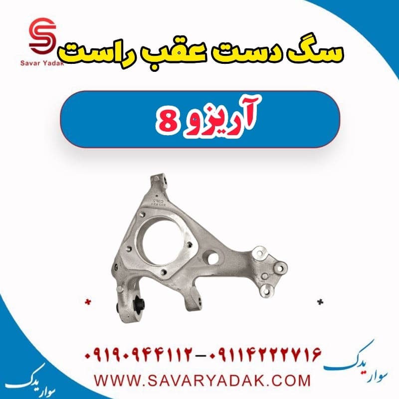 سگ دست عقب راست آریزو 8