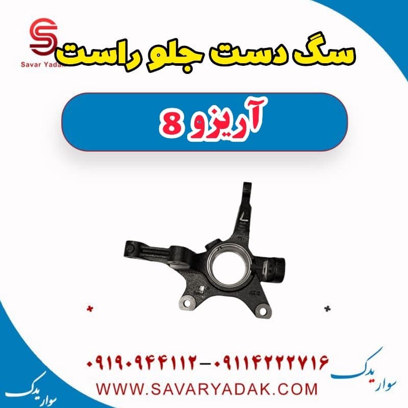 سگ دست جلو راست آریزو 8 — تصویر ۲