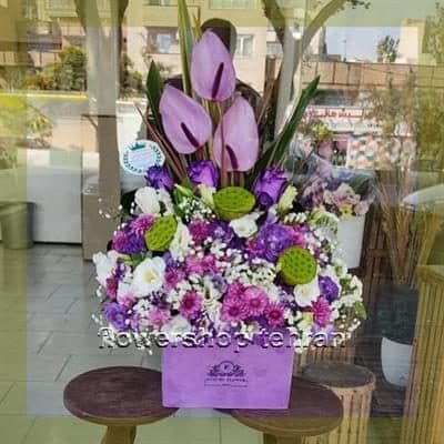 با انواع گل رونده بدون حرف اضافه، توجه و محبتت را نشان بده