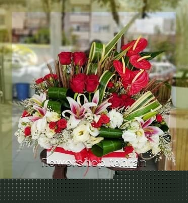 گل قشنگ؛ انتخابی مطمئن برای هر سن و سلیقه