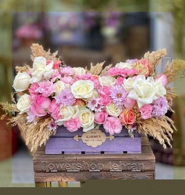 گیاه ؛ هدیه‌ای امن برای وقتی نمی‌دانی چه بخری