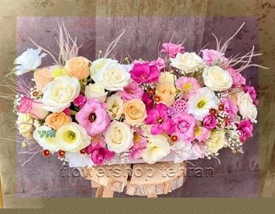 با گل های اپارتمانی مقاوم فضای خانه یا محل کار را زنده کن