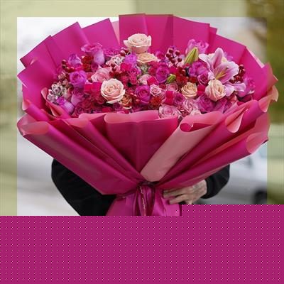 با خرید اینترنتی گیاهان آپارتمانی اولین نگاه هر مهمان را میخکوب کن