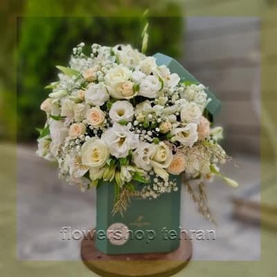 با گلدان گل طبیعی برای هدیه بدون حرف اضافه، توجه و محبتت را نشان بده