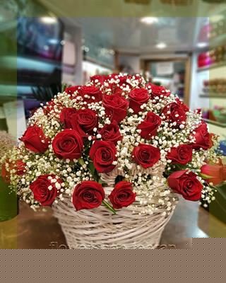 گل رز؛ انتخابی مطمئن برای هر سن و سلیقه