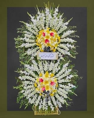 یک شاخه گل رز سیاه؛ انتخابی مطمئن برای هر سن و سلیقه