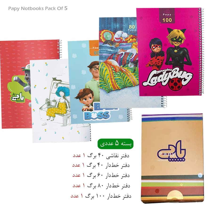 پک 5 عددی دفتر اقتصادی پاپی