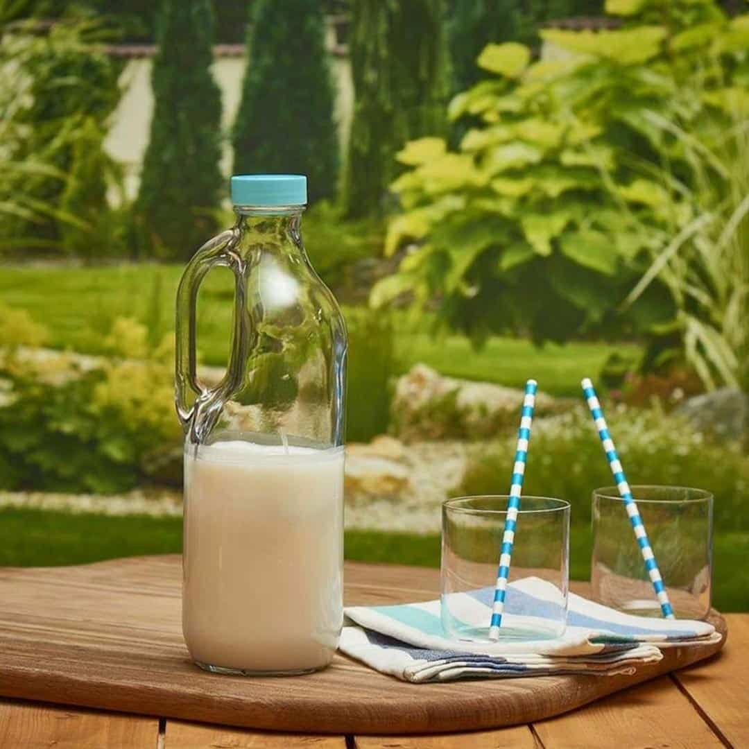 بطری بیسیک پاشاباغچه Basic 1400ml — تصویر ۷