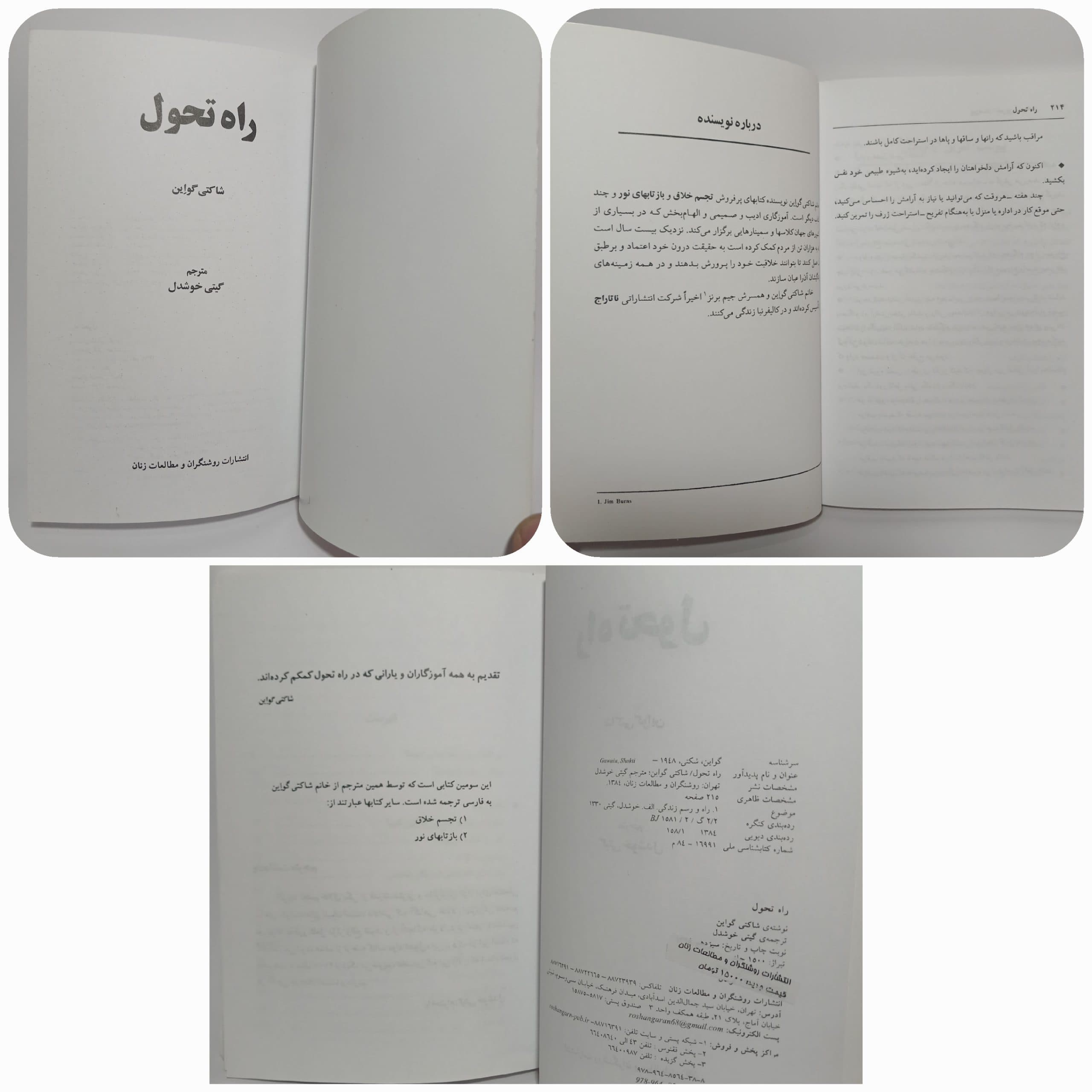 راه تحول اثر شاکتی گواین — تصویر ۳