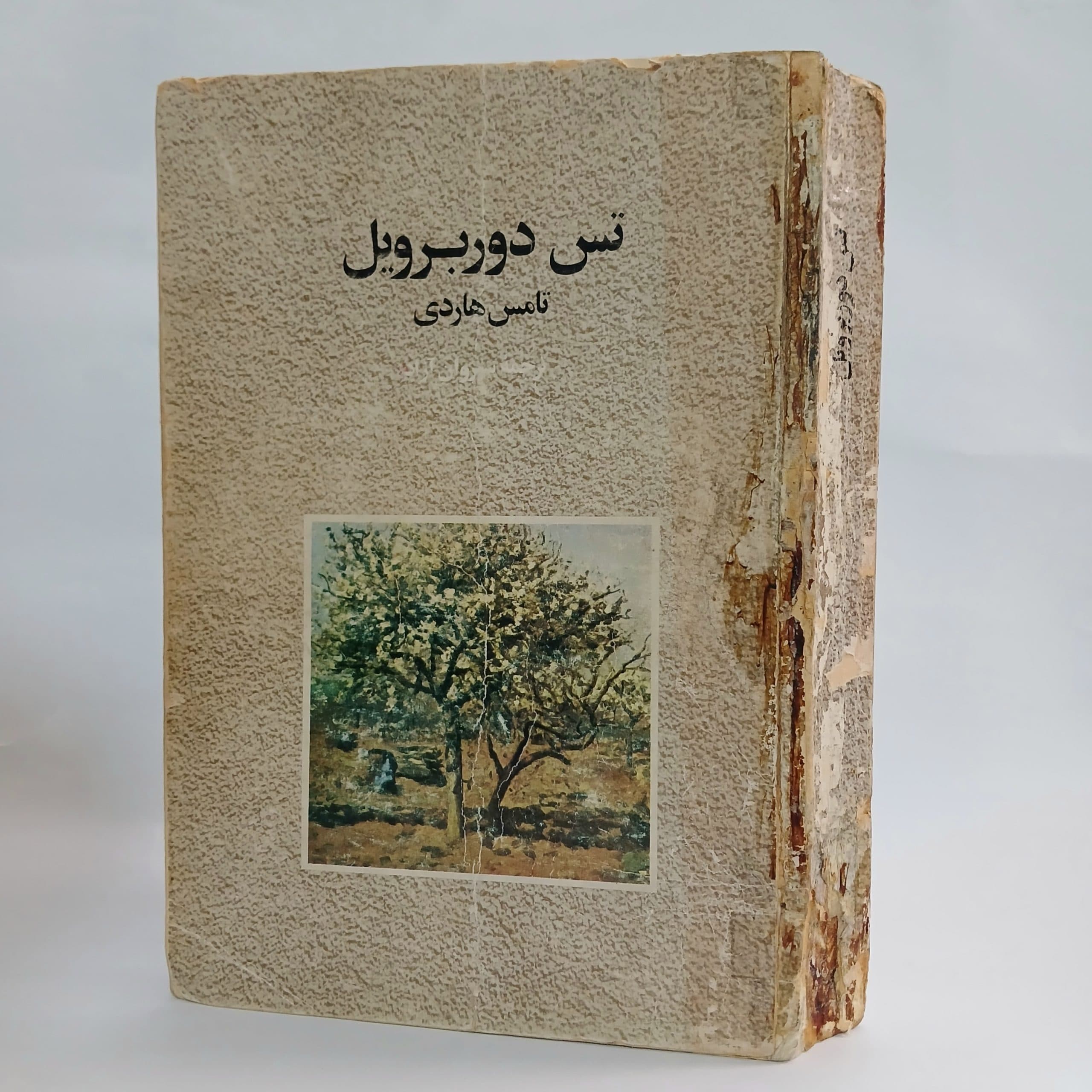 تس دوربرویل اثر تامس هاردی