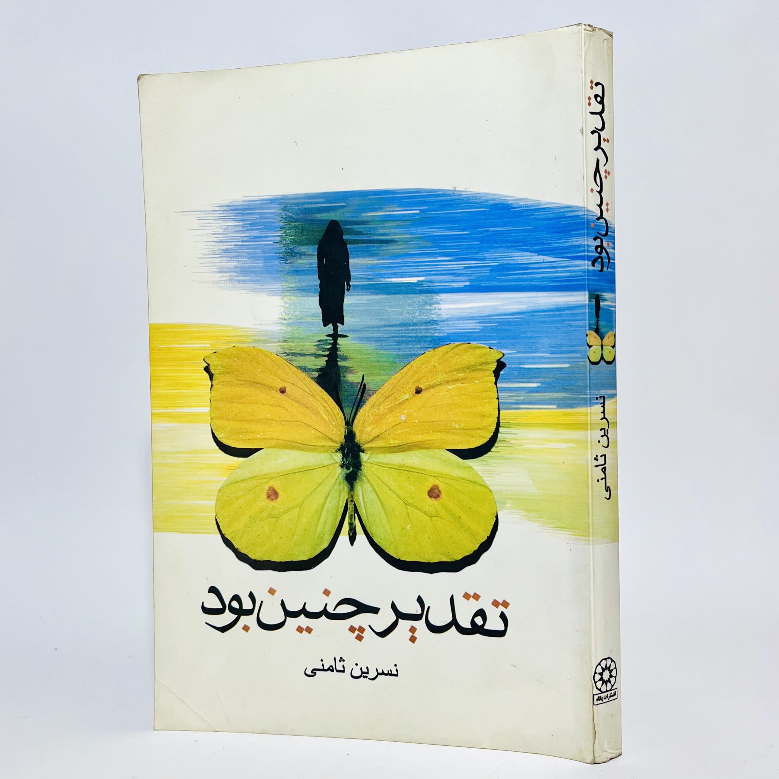 تقدیر چنین بود اثر نسرین ثامنی — تصویر ۲