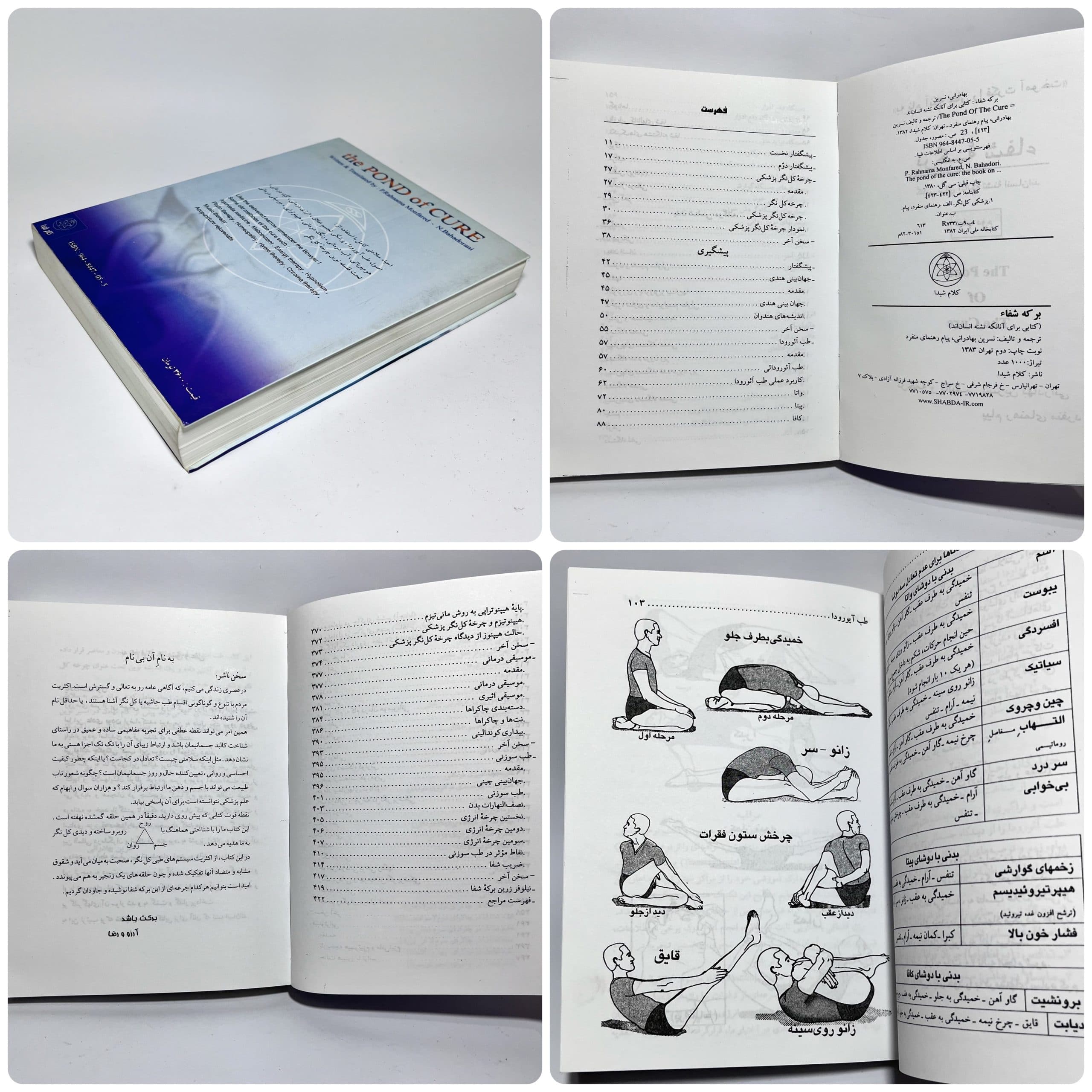 برکه شفا — تصویر ۳