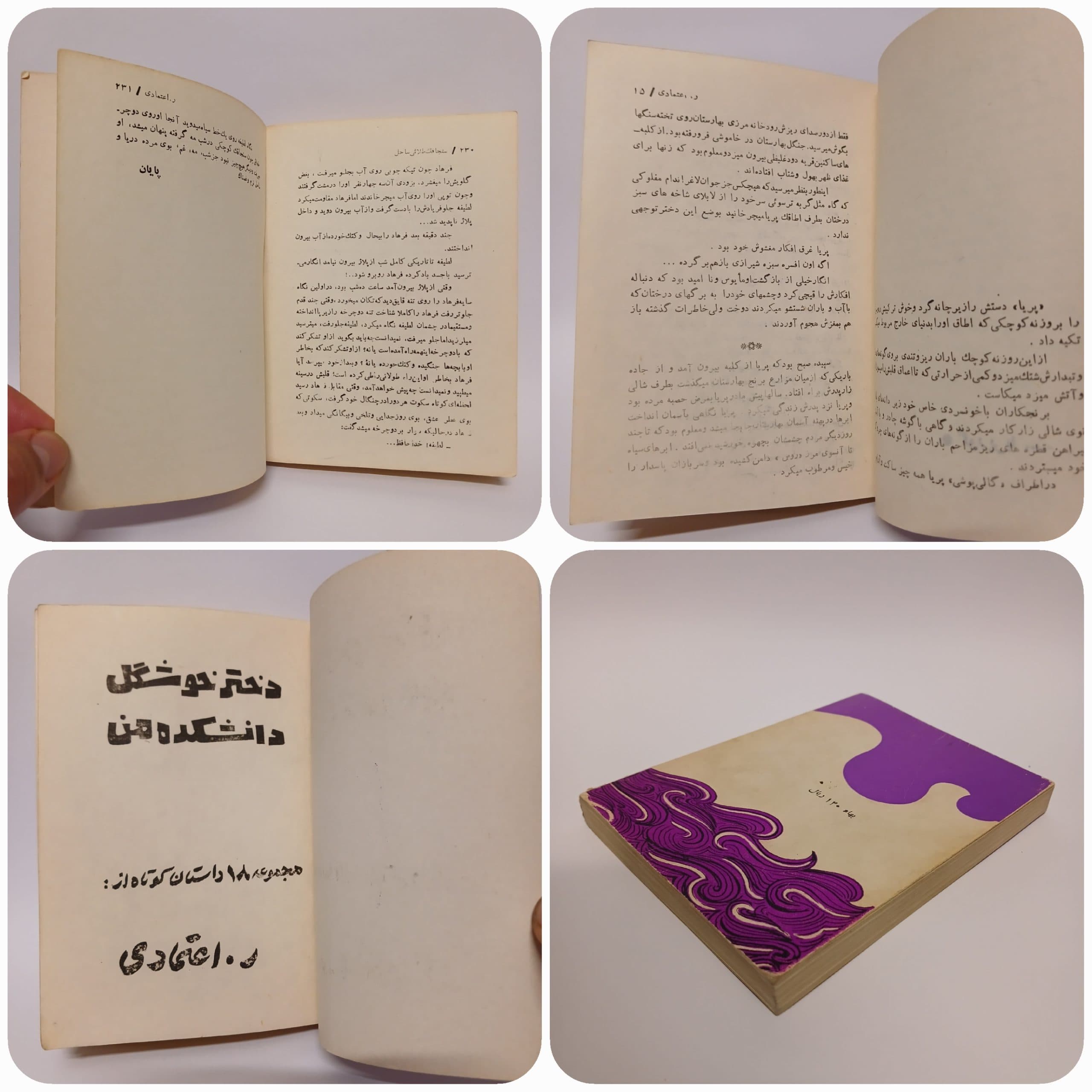 دختر خوشگل دانشکده من اثر ر. اعتمادی — تصویر ۵