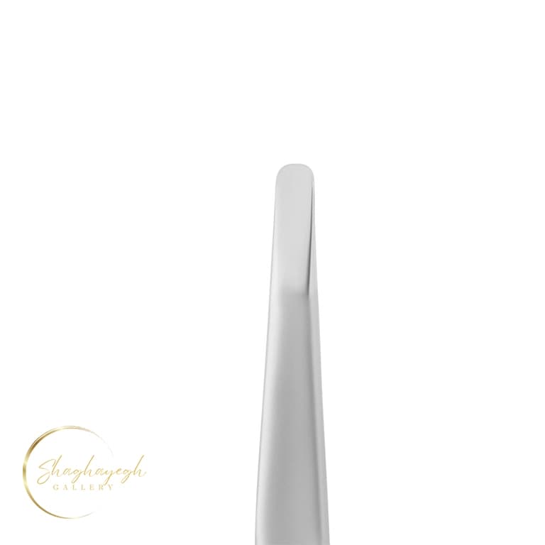 موچین اصلاح و فرم‌دهی ابرو استالکس پرو اکسپرت ۱۰ تایپ ۶ Staleks Pro Expert 10 Type 6 Eyebrow Tweezers — تصویر ۸