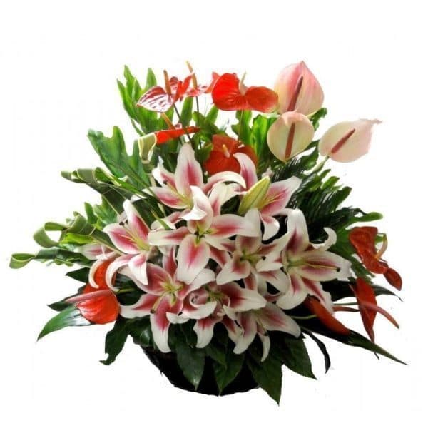 گل روح انگیز