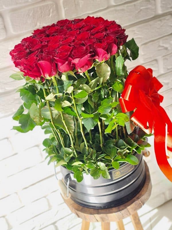 باکس گل رز هلندی کد 234 – گل فروشی آنلاین رزگاردن